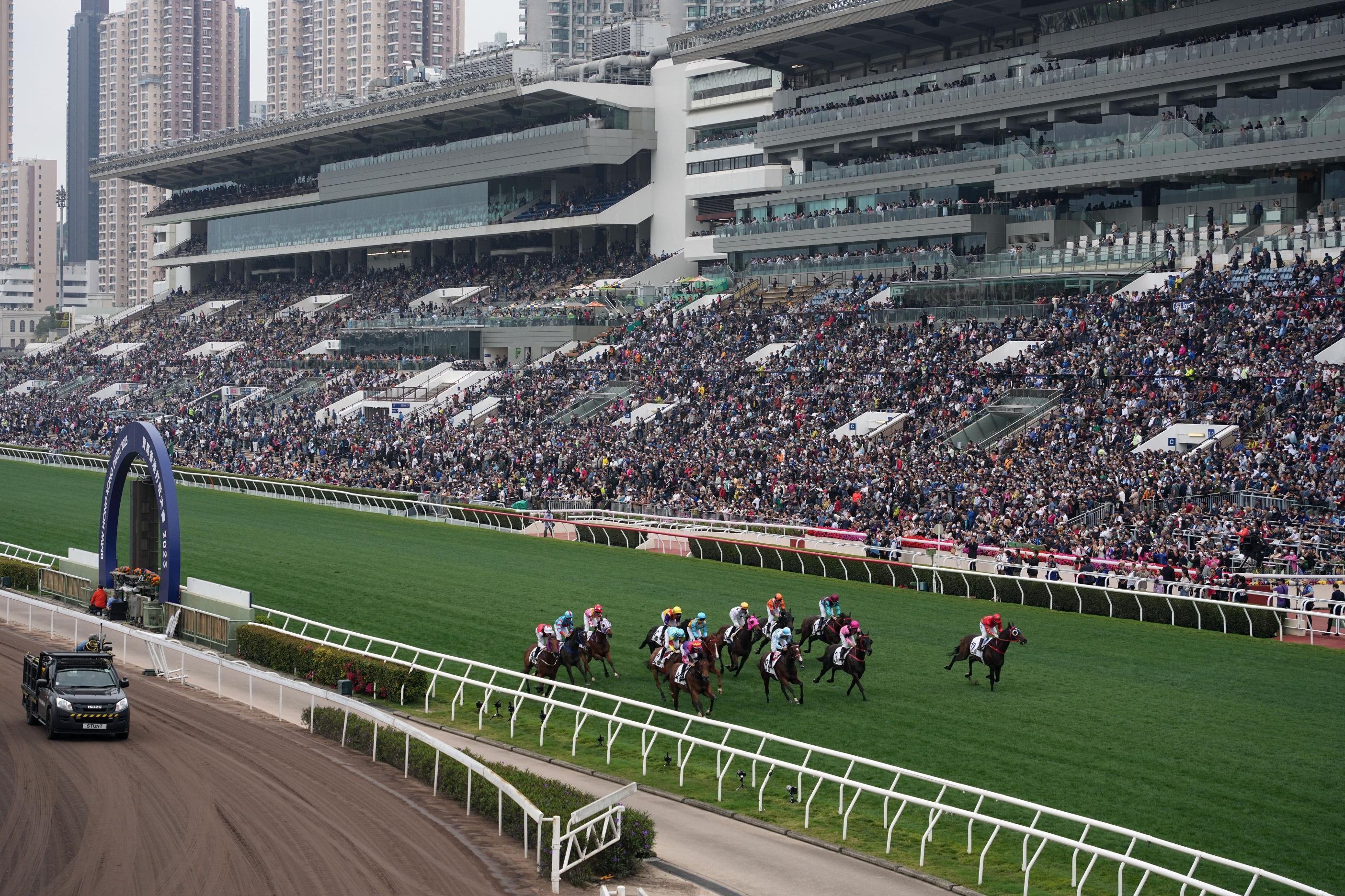香港赛马排位表 资讯图片