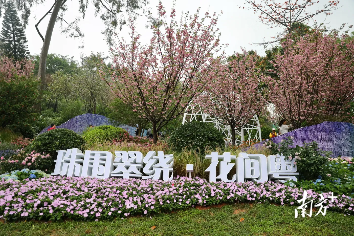 春日限定不容错过!广州园博会约你漫步园林