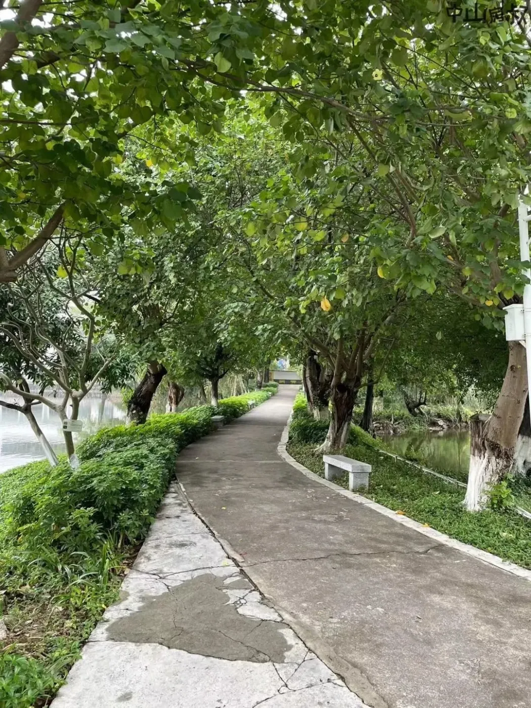 终于中山逸仙湖公园要大改造