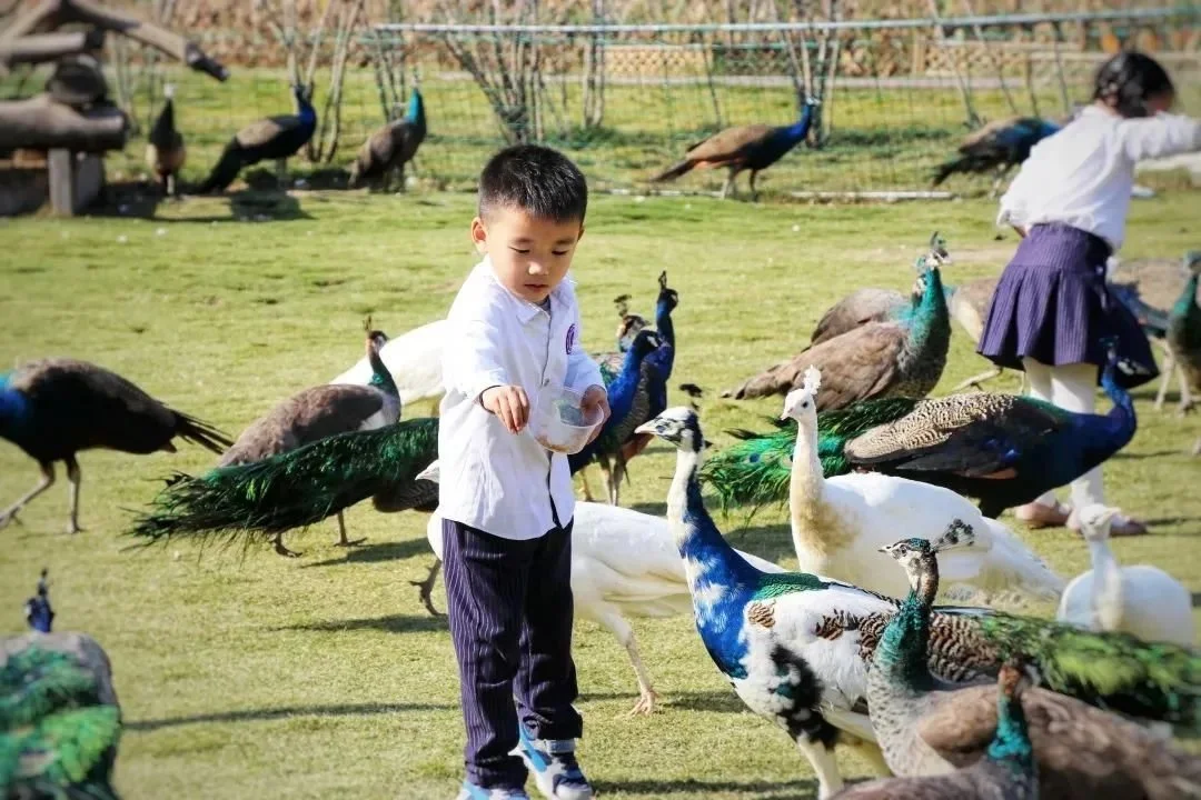 真的全部免費玩武漢首個西遊記豬八戒主題公園4月28日開業一票通玩