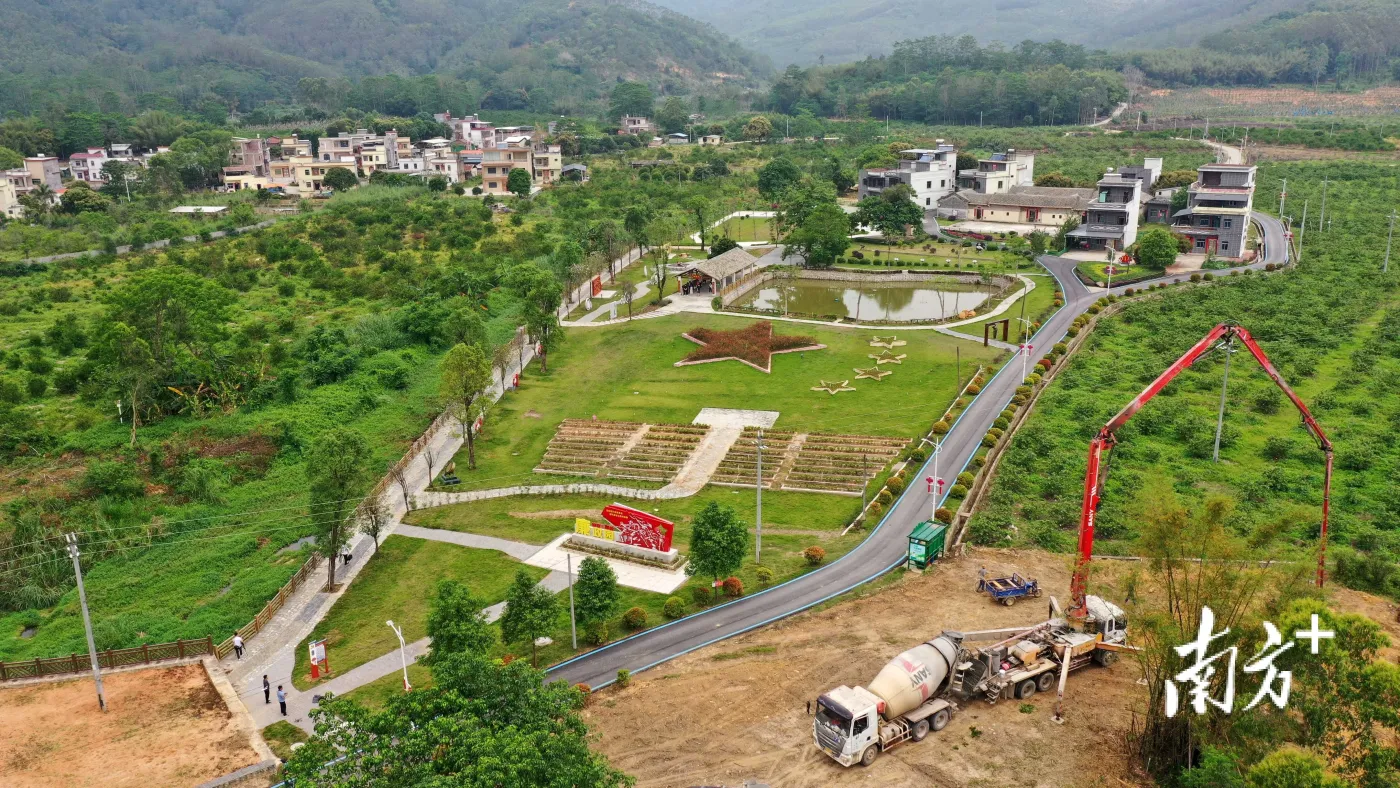 茶香带动振兴新图景博罗柏塘茶产业年产值超6亿