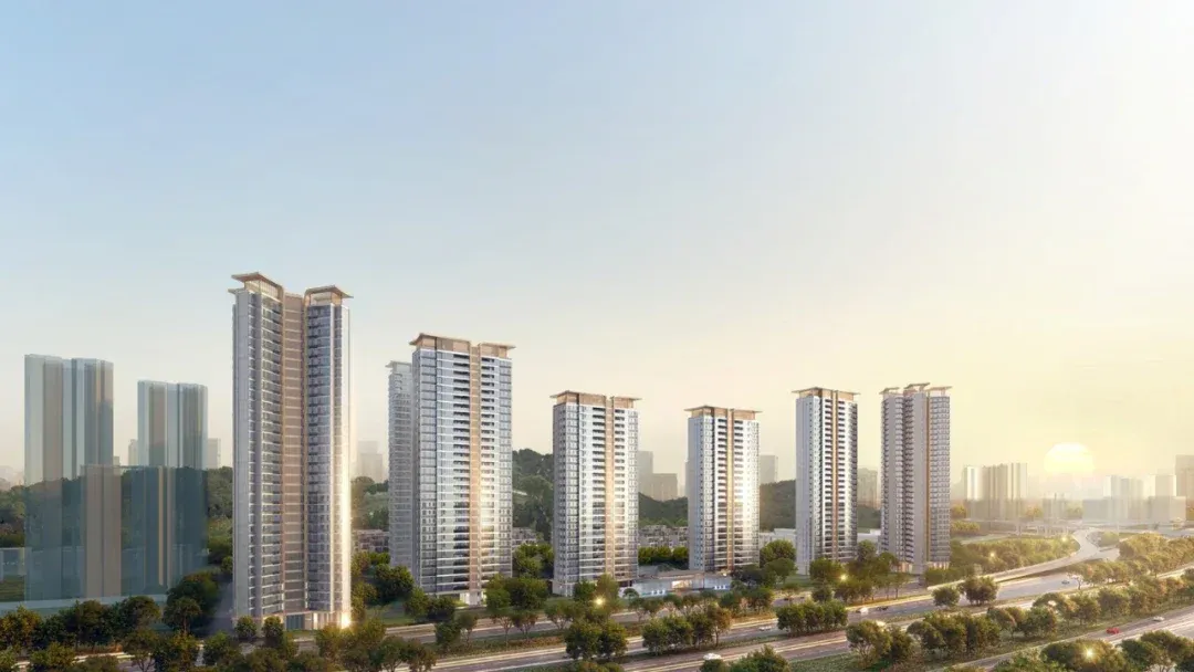 刚刚这个南湾超级大盘曝光超全一手资料送上