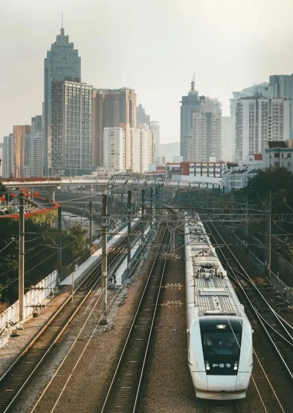 华为分红770亿这泼天富贵的背后真相你读懂了吗