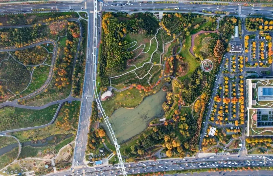 图/ 西苑公园3.