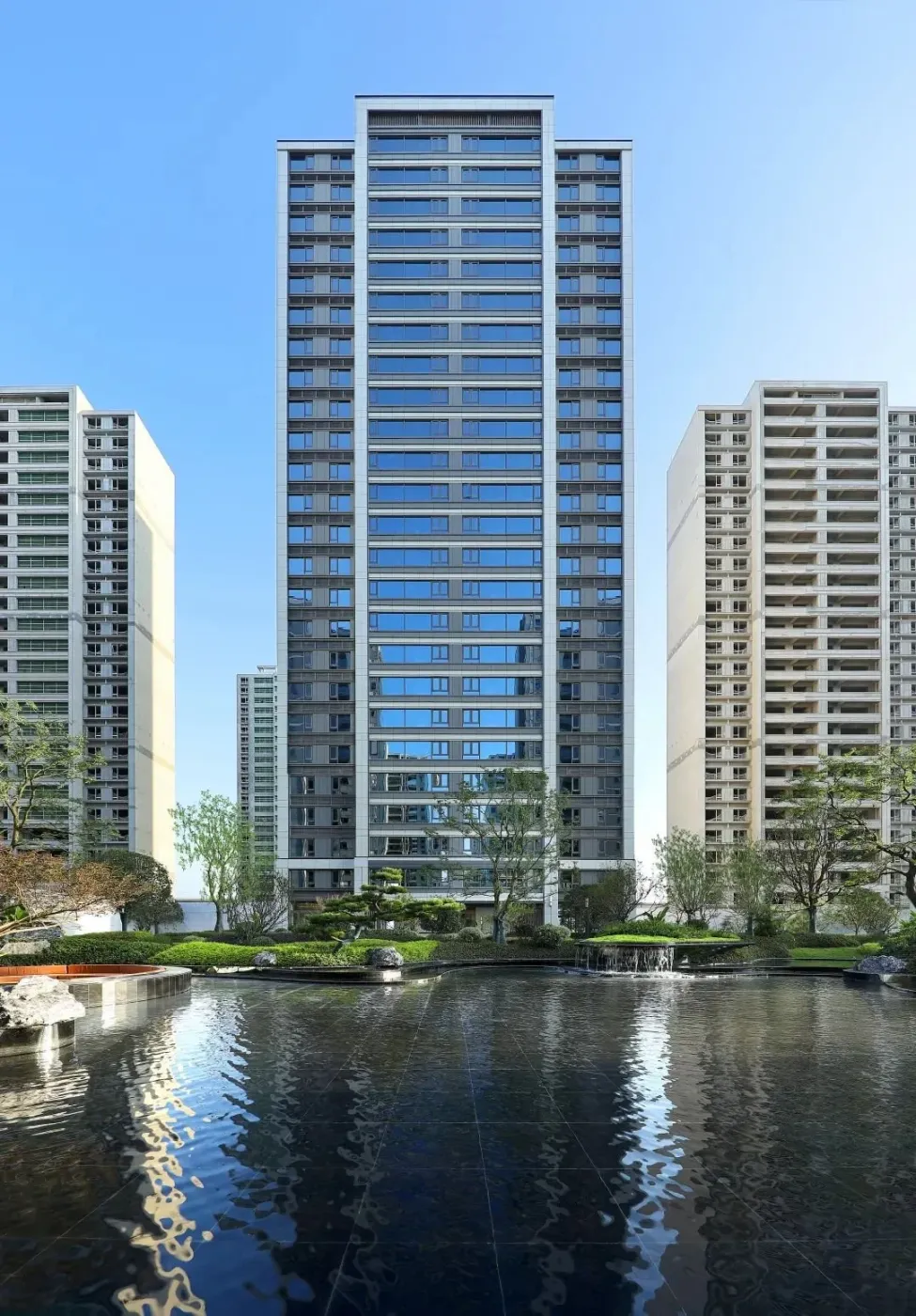 多少人在抢这个