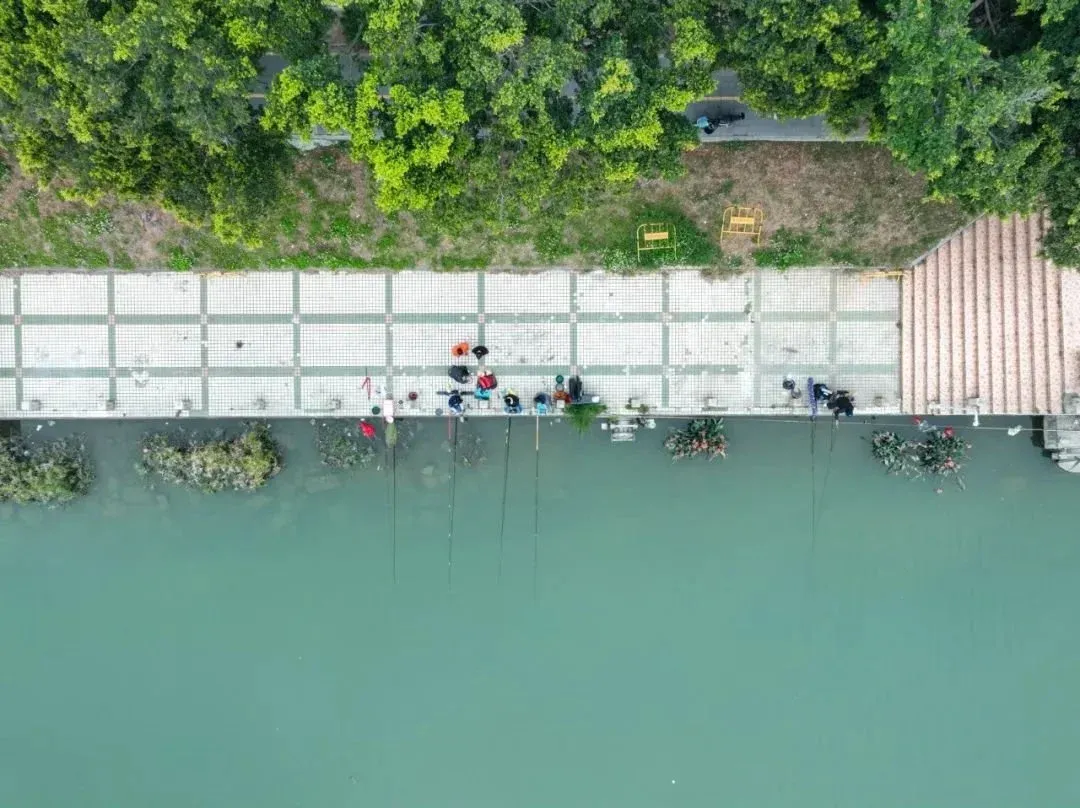 岭南水乡风情浓郁的市桥,生态与生活共美.