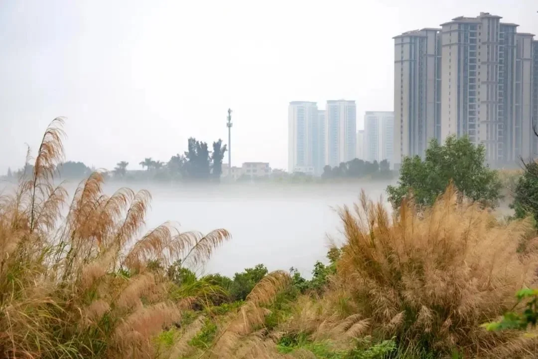 下周太阳继续"摸鱼",阳江重回阴雨天!"阿南"可能会回来......_房产资
