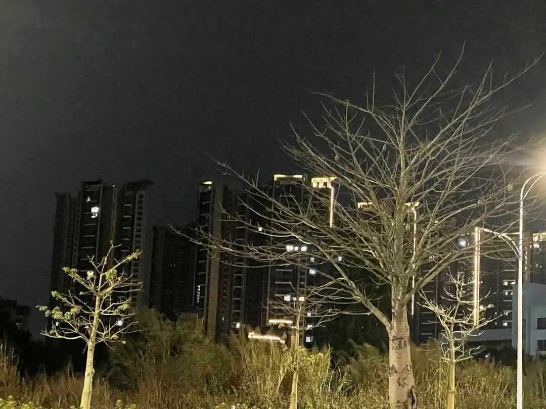 北站亮灯星星点灯