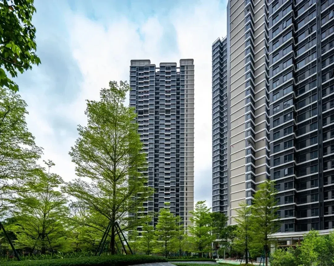 房产君在现场默默数了下,光是朴树,凤凰木,麻楝,乌桕,小叶榄仁,香樟等