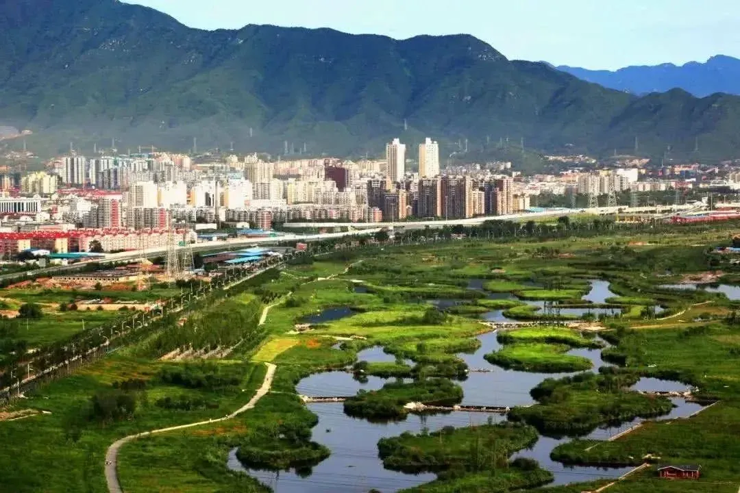 首钢园 三轨换乘 精妆洋房,保利·璟山和煦,单价低至5万/㎡起,优惠