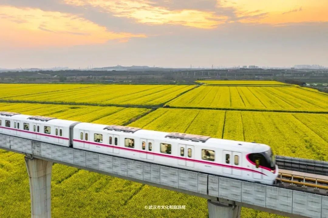 作为首条驶入汉南区的地铁线路,武汉地铁16号线南起汉南区纱帽街周家