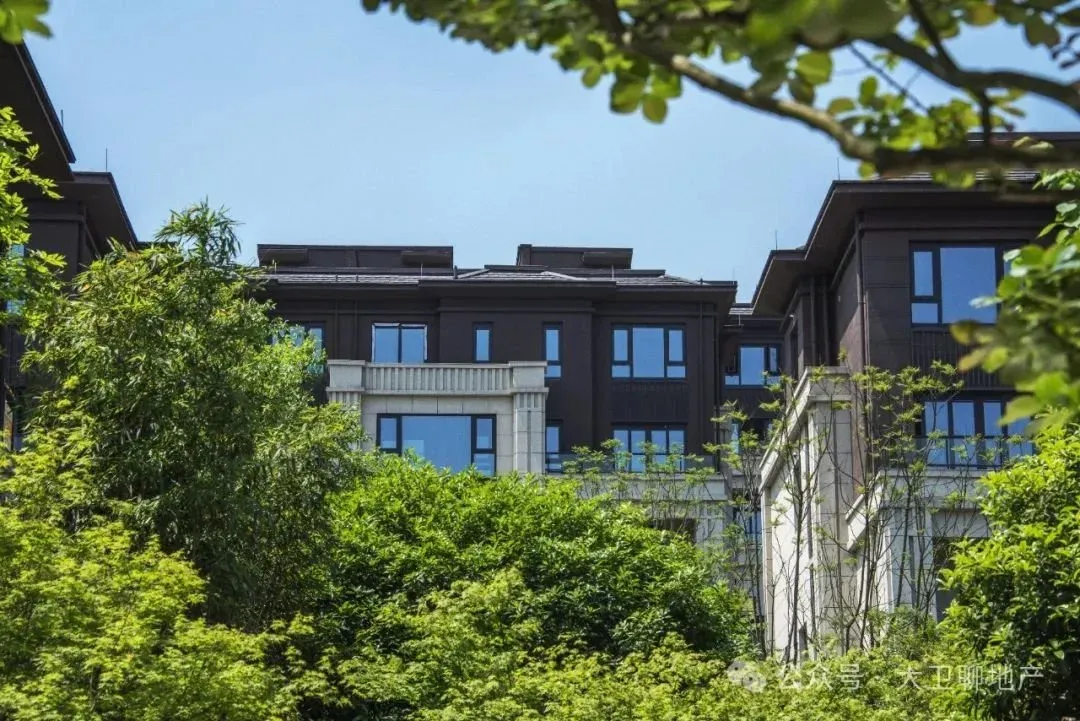 (湖山壹号 实景拍摄)蓝天白云下,层次分明的景观园林,加上铝板,石材等