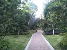 协信城立方西二期 2室1厅 东