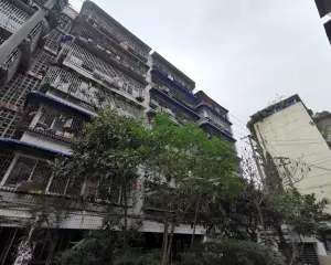 横四道街5号 3室1厅 西南 东北