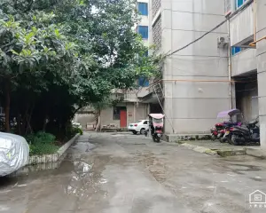 电子路段94号 3室2厅 南