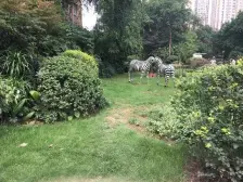 弹子石CBD小三房,2015年次新刚需小户,业主诚心出售