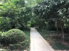 弹子石 蓝光coco时代三期四房88万