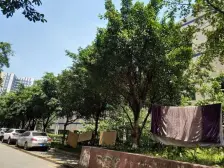 成熟地段+交通便利+户型方正+业主诚心出售