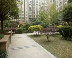 新碧园 2室1厅 西南