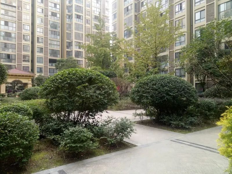 小区相关图