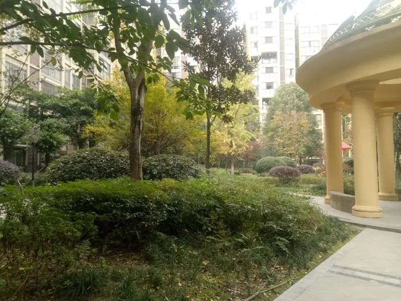 小区相关图