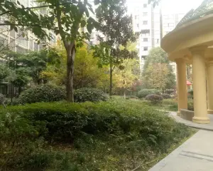 新碧园 2室2厅 西南