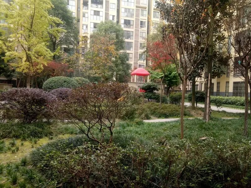 小区相关图