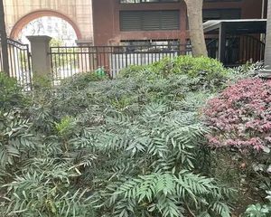 蓝光金双楠二期3室2厅西南