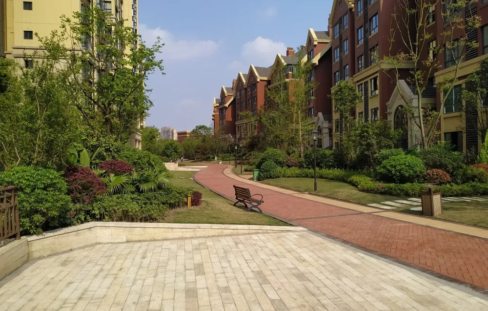 广安区 帝谷公园城 3室2厅