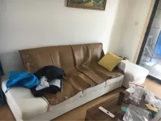 ���δ���Է