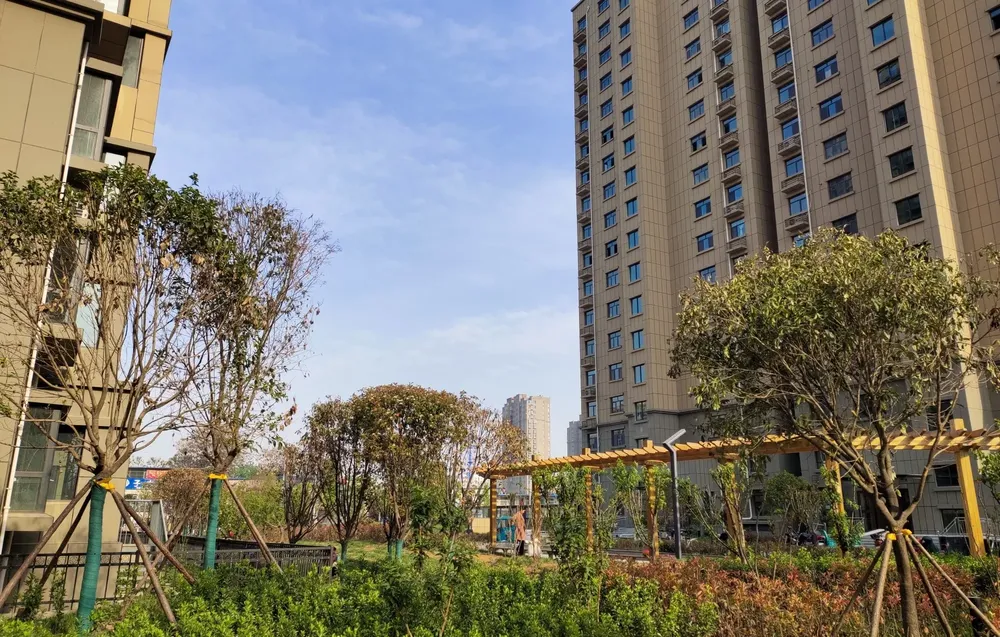 华龙区 茂源景城 3室2厅,濮阳华龙区人民医院茂源景城二手房3室 - 房