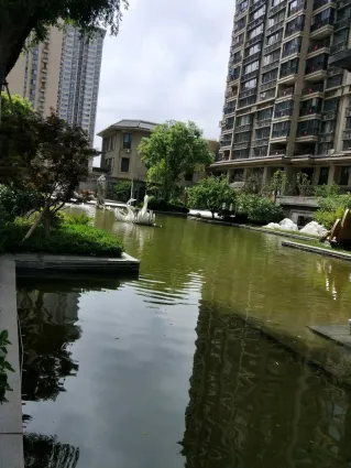 恒大翡翠龙庭二手房值得投资吗:离得不远就是医院,.-西安二手房点评