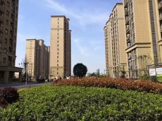 御湖园怎么样:看了一期,环境优美,绿化.-武汉房天下楼盘点评