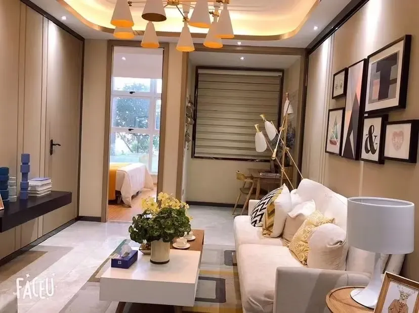 东方经典五号公馆 1室1厅一厨一卫(精装修今年5月交房)