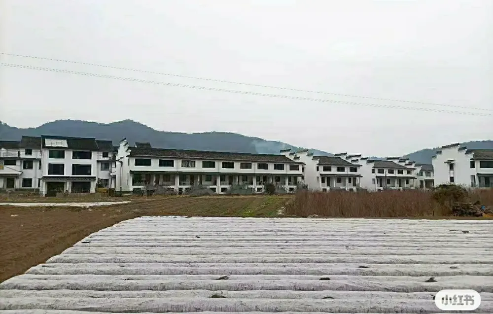 海曙鄞江清源村禅岩联排别墅三层楼空气好田园生活