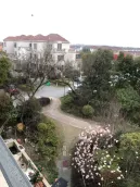 �����׸�