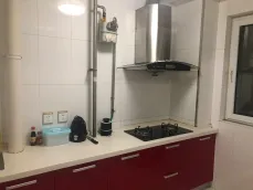 �����ϳ�