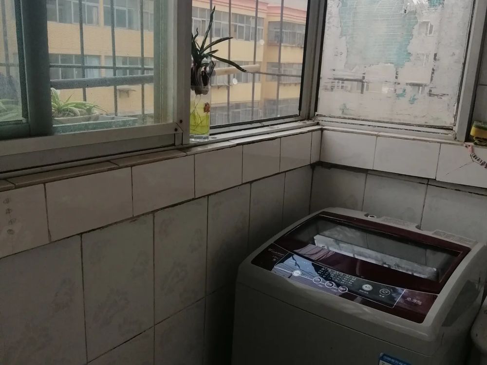 室内图
