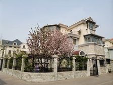 唯美独栋别墅 6室3厅5卫