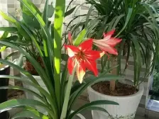 西陵 锦绣东庐 5室2厅