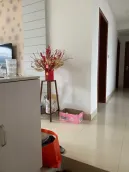 �¸����˻�԰