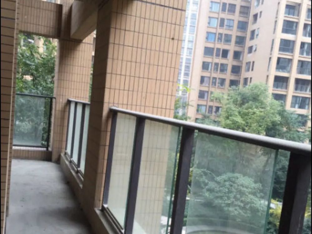 室内图