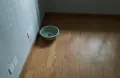 房源图片