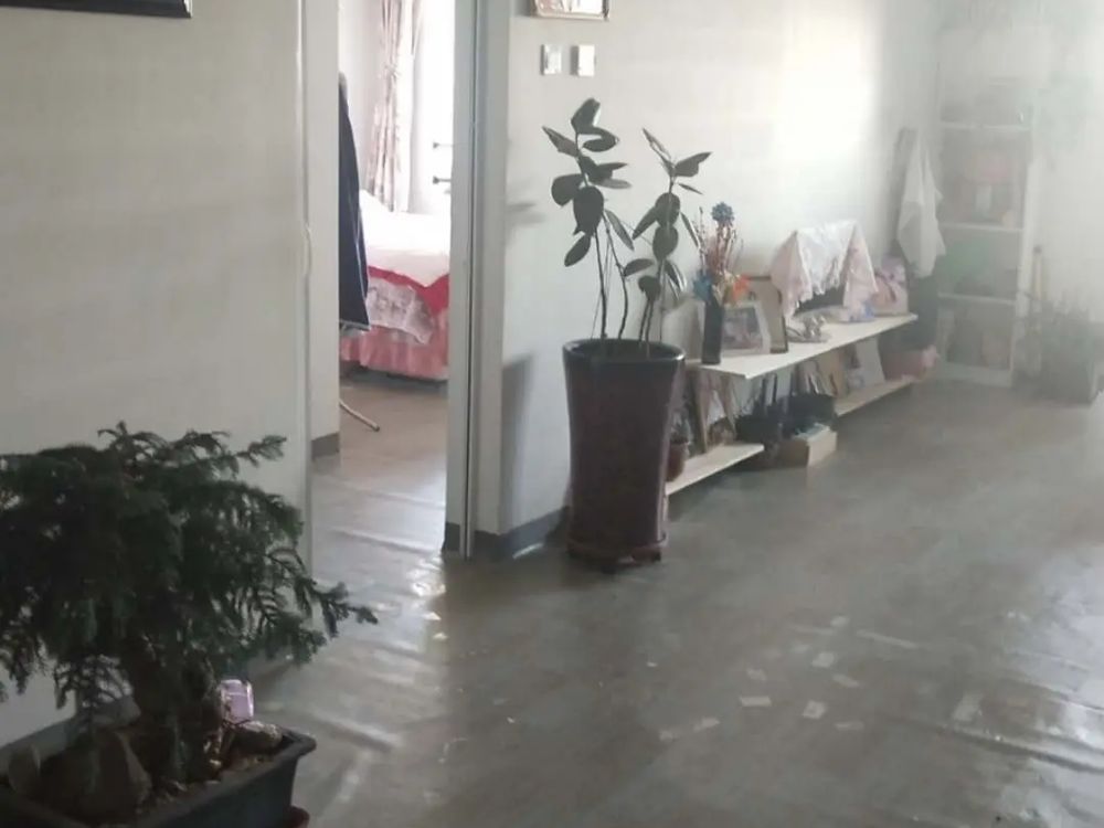 室内图