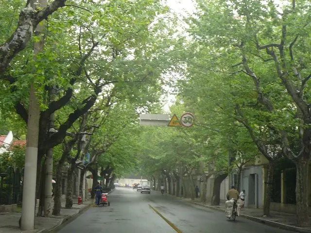 室内图