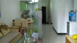 ̨���������