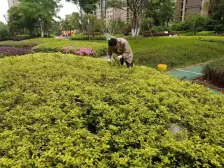 富力金禧悦城3室2厅2卫南朝向98.00万元出售