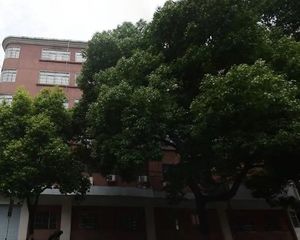 庐阳 六安路小学宿舍 3室1厅 77.22㎡ 146万