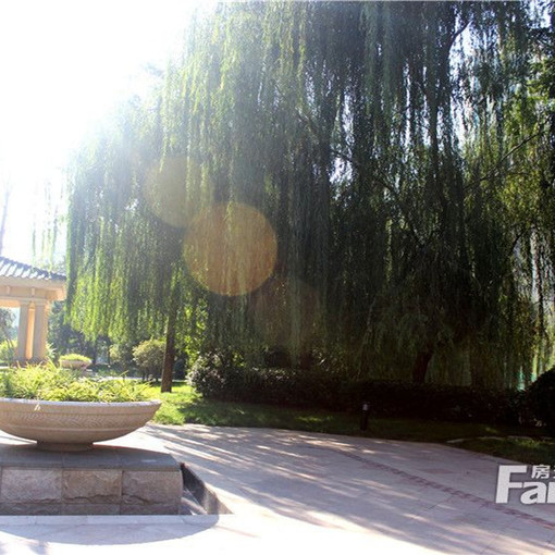  �����������2��2��1�����ϳ���1600.00Ԫ/�³��� 