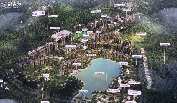 ������Ӱ����